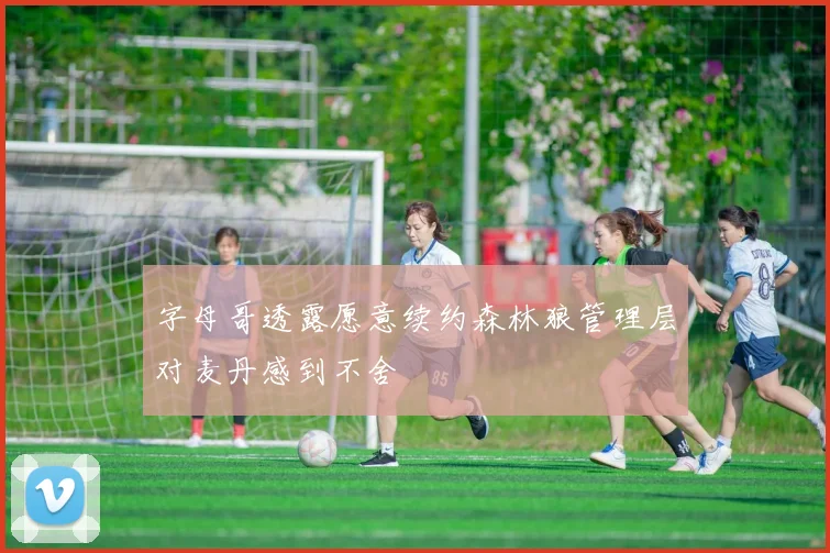 字母哥透露愿意续约森林狼管理层对麦丹感到不舍