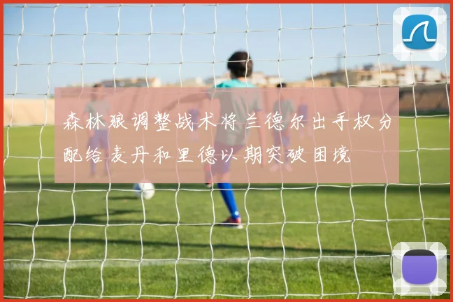 森林狼调整战术将兰德尔出手权分配给麦丹和里德以期突破困境