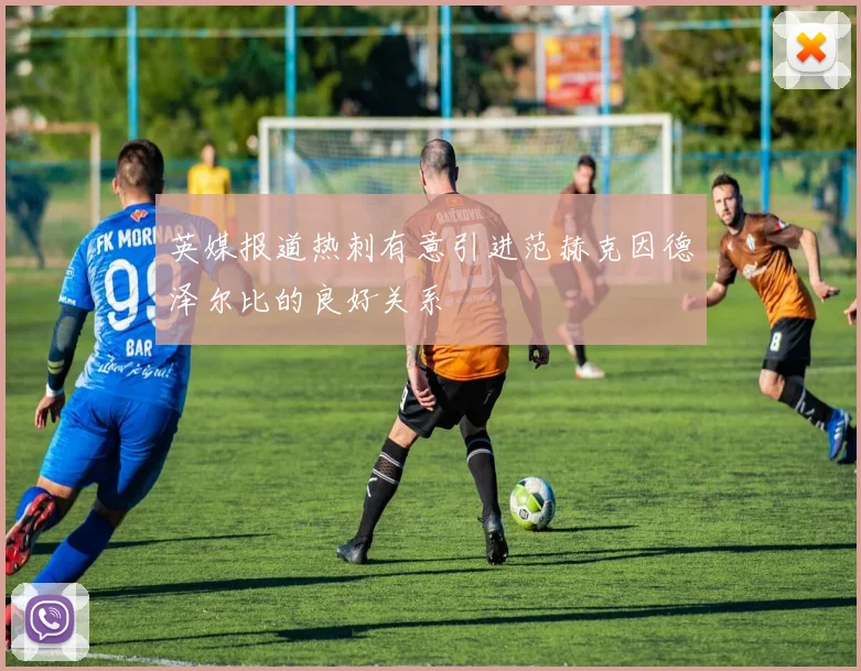 英媒报道热刺有意引进范赫克因德泽尔比的良好关系